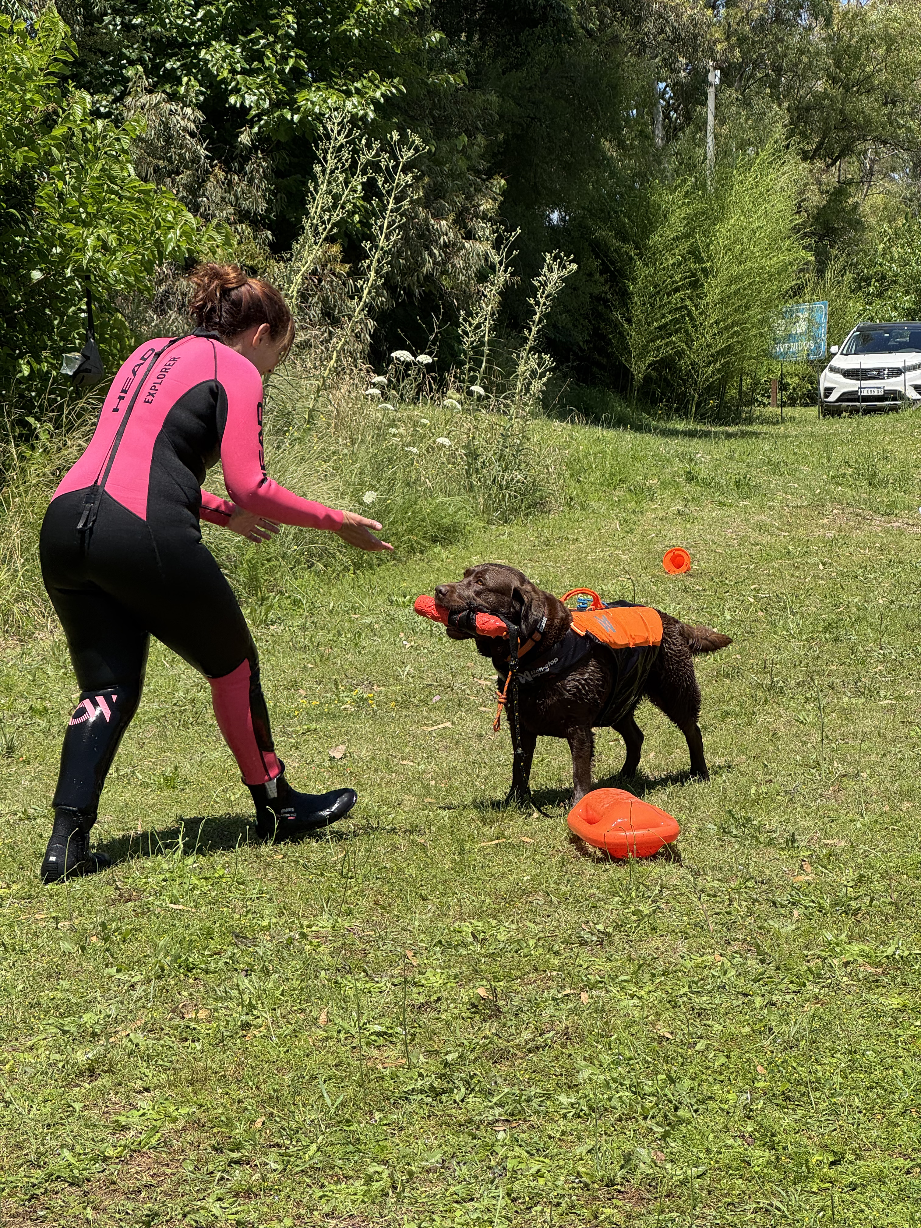 Ejercicio de propiocepción y rescate acuático canino