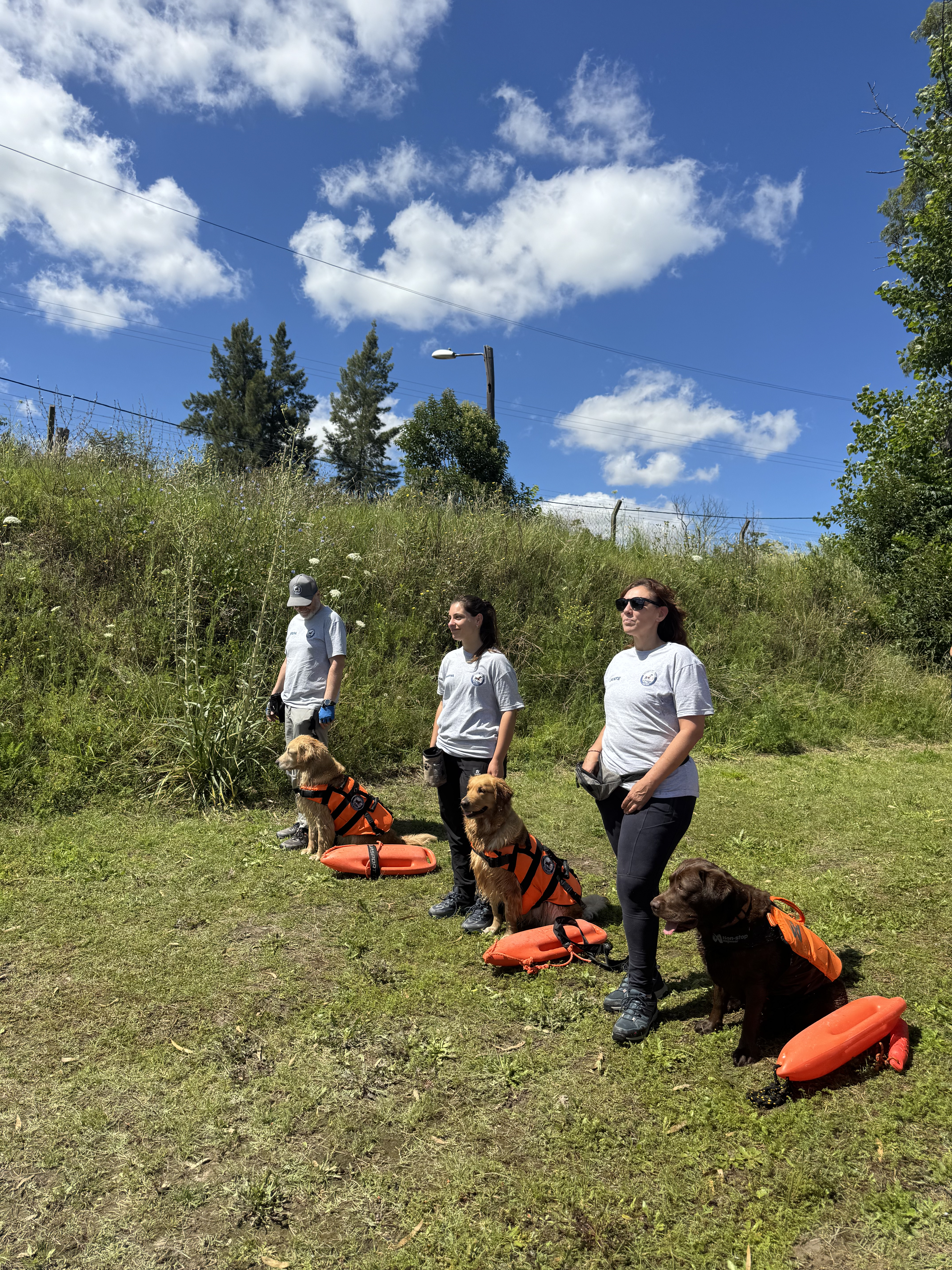 Clase de rescate acuático canino — trabajo en vínculo