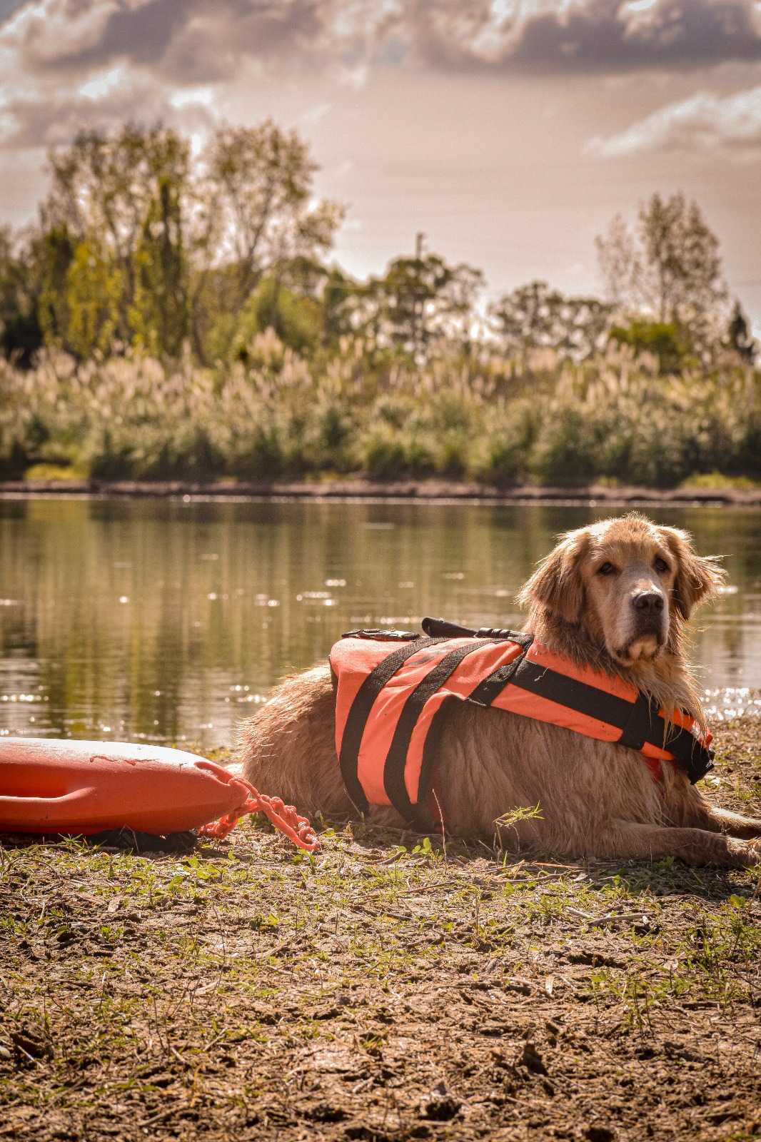 Entrenamiento canino en lago con Flor Tesone